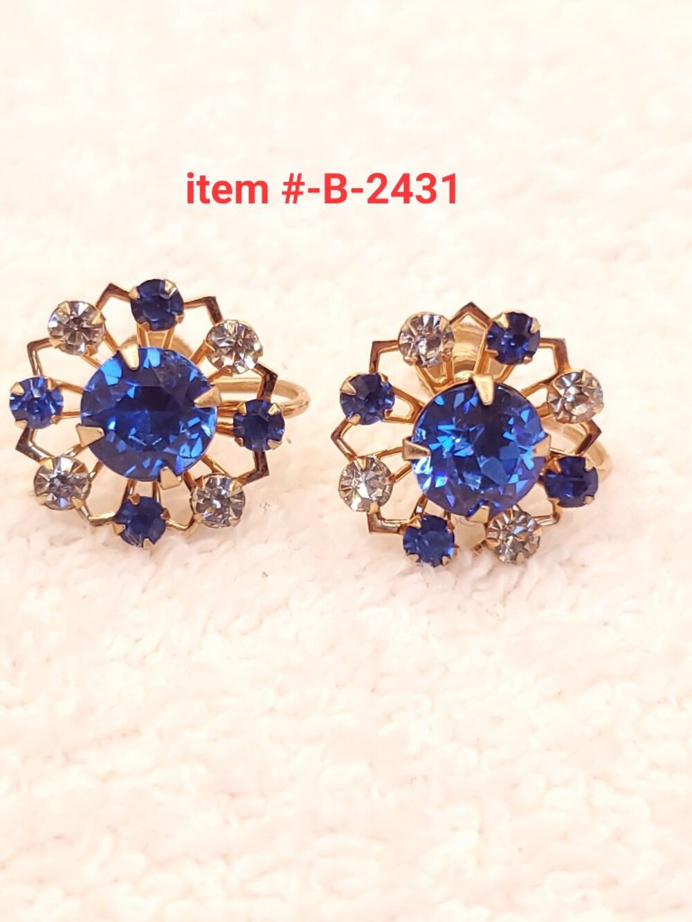 1 Vintage Pair of DARIUS screw on Earrings, item # B 2431,. wt. 4 grams.